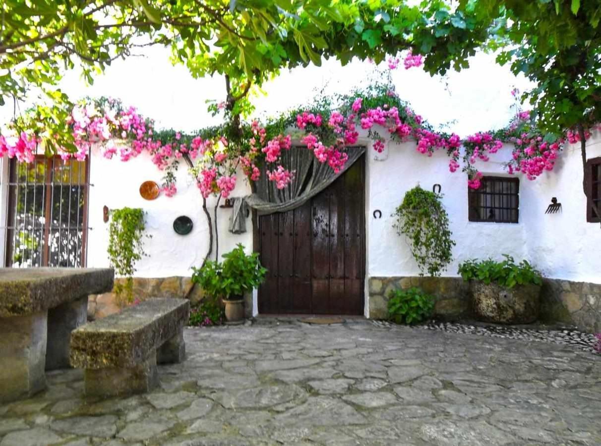 Cortijo La Gineta Alcalá la Real