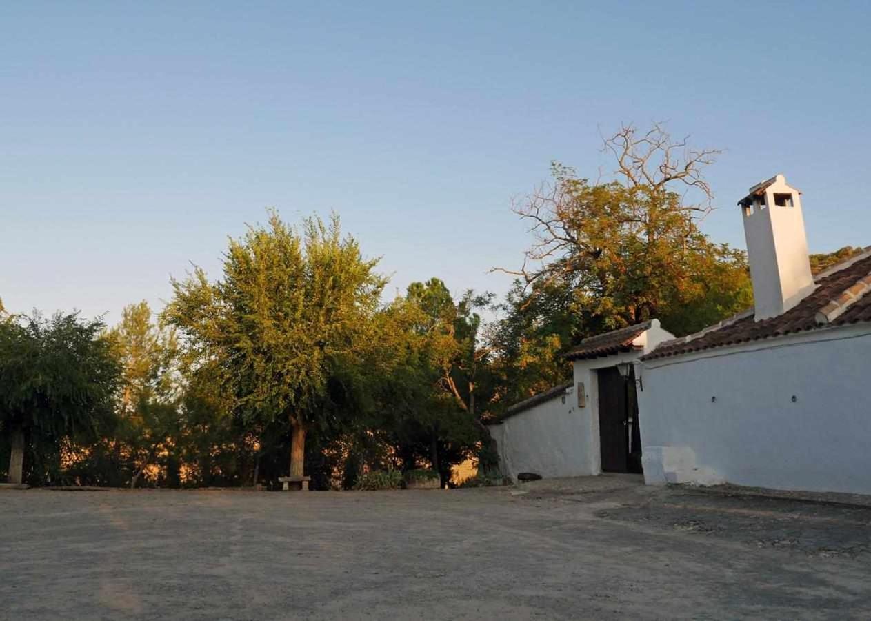 Cortijo La Gineta Alcalá la Real